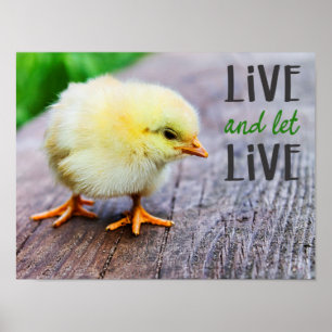 "Live and let live" with cute yellow chick vegan Poster