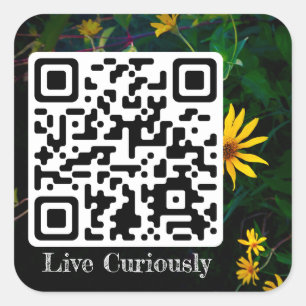 live curiously sticker