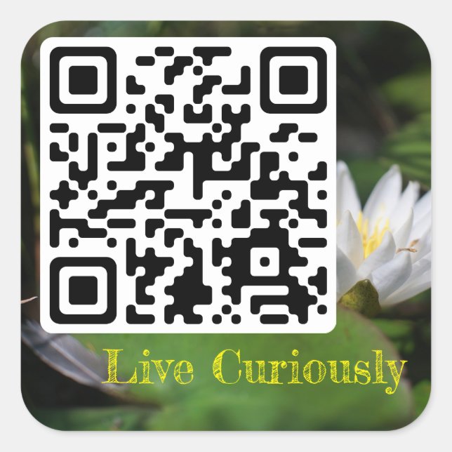 live curiously sticker (Front)