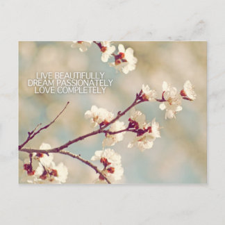 live dream love I Postcard