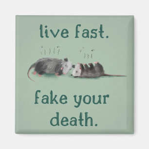 Live Fast. Fake Your Death. Opossum Magnet