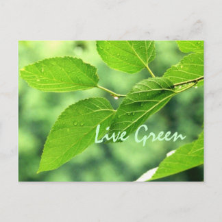 'Live Green' Postcard