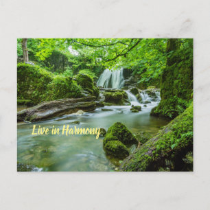 Live in Harmony Postcard