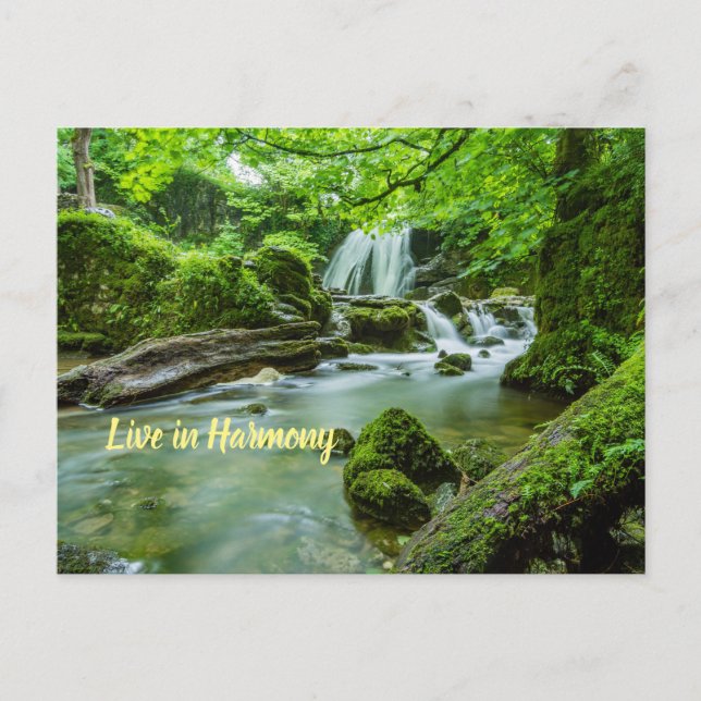 Live in Harmony Postcard (Front)