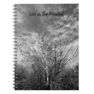 Live in the Moment Trees Spiral Photo Notebook