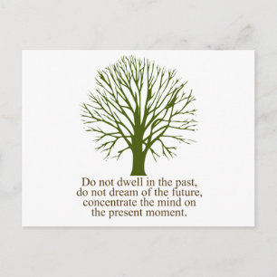 Live in the Present Moment Postcard