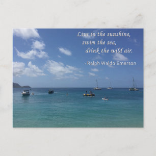Live in the sunshine Postcard