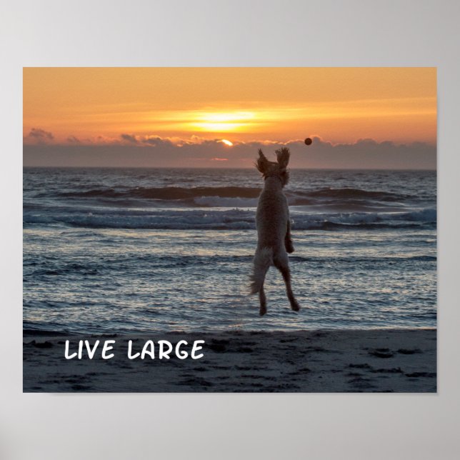 "Live Large" Beach Sunset Poster (14" x 11") (Front)