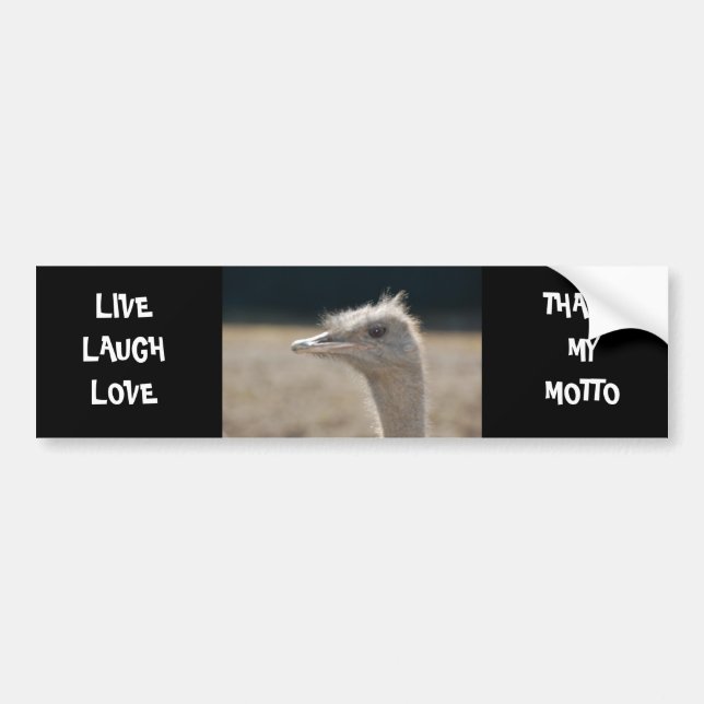 LIVE, LAUGH, LOVE - bumper sticker (Front)