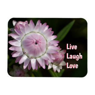 Live Laugh Love Daisy Magnet