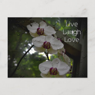 Live Laugh Love-Orchid Postcard