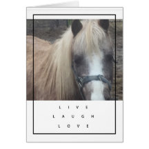 LIVE, LAUGH, LOVE PONY - BLANK CARD