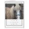 LIVE, LAUGH, LOVE PONY - BLANK CARD