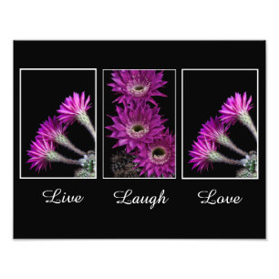 Live,Laugh,Love trio of Cactus flowers Photo Print