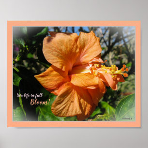 Live Life in Full Bloom Floral Hibiscus Poster