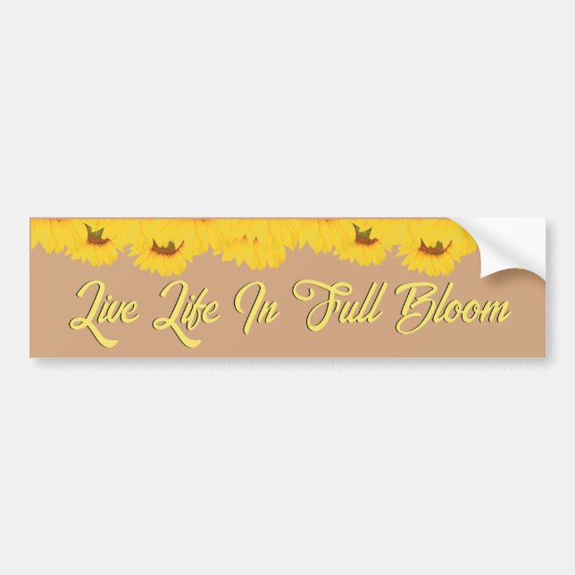 Live Life in Full Bloom Quote Sunflowers Bumper Sticker (Front)