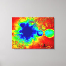 Live Life in Full Colour Abstract Canvas Wall Art