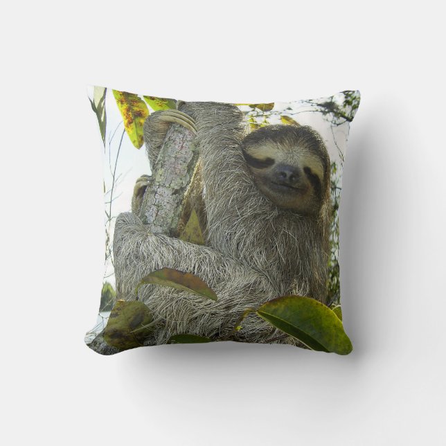 Live Life Like a Sloth Cushion (Front)