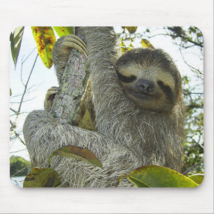 Live Life Like a Sloth Mouse Pad