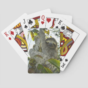 Live Life Like a Sloth Playing Cards
