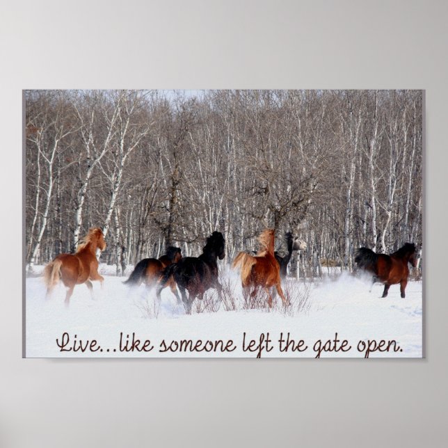 Live Life.....Like someone left the gate open! Poster (Front)
