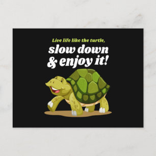 Live Life Like The Turtle Turtles Postcard