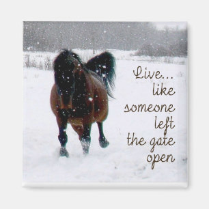 Live Life! Magnet