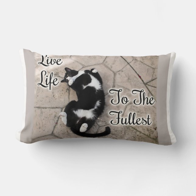 Live Life To Fullest Cat Motivational Statement Lumbar Cushion (Front)
