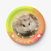 Live Life to the Fullest - Hammyville Hamsters