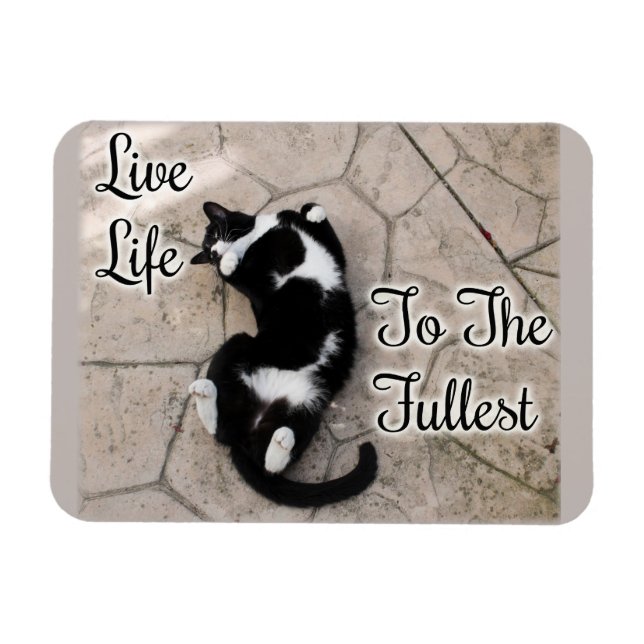 Live Life to the Fullest Motivational Cat Art Magnet (Horizontal)