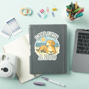 Live Like a Dog Beach