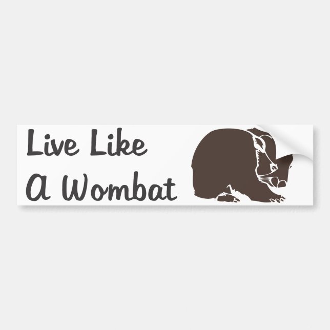 Live Like A Wombat Bumper Sticker (Front)