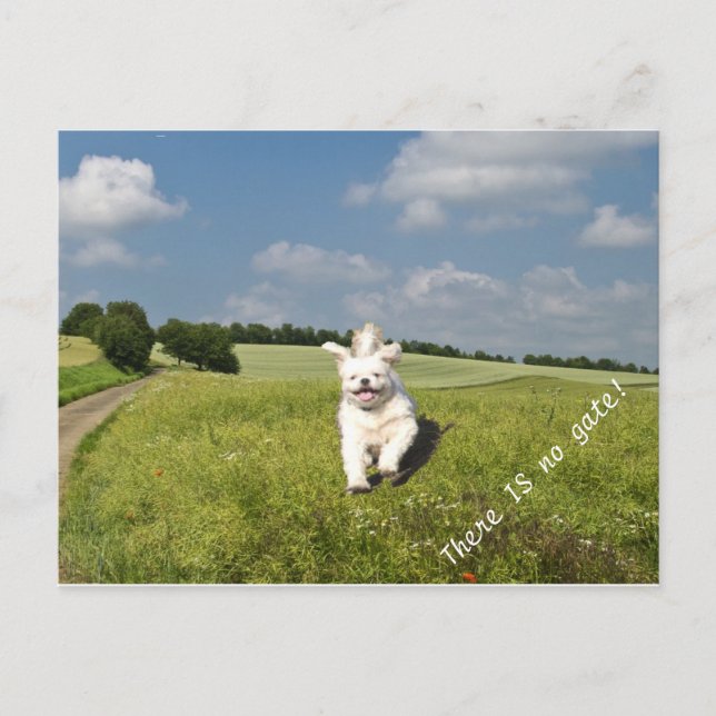 "Live Like..." Postcard Buddhist (Matrix) Version! (Front)