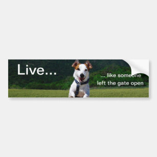 Live Like Someone Left Gate Open Bumper Sticker
