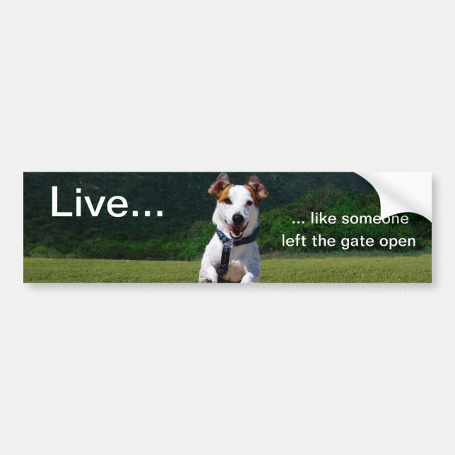 Live Like Someone Left Gate Open Bumper Sticker (Front)