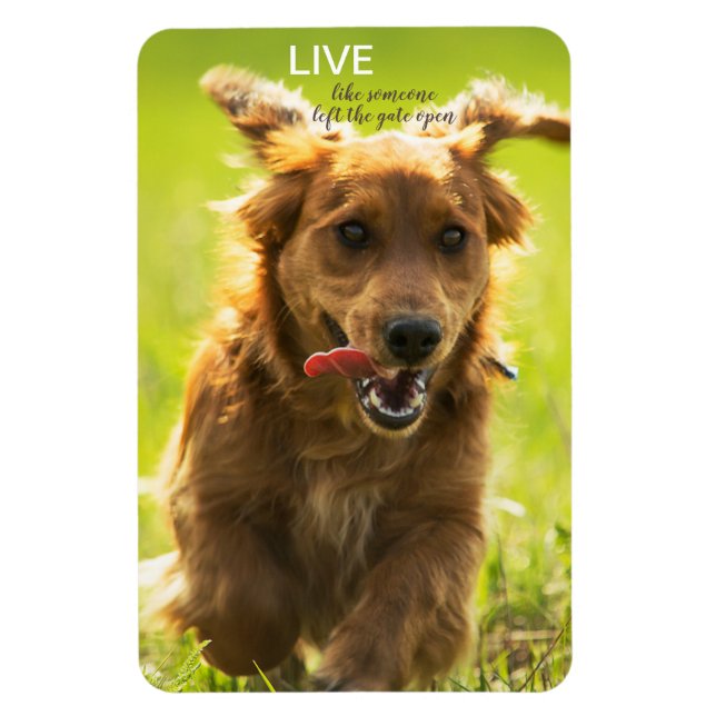 "Live like someone left the gate open" Dachshund Magnet (Vertical)