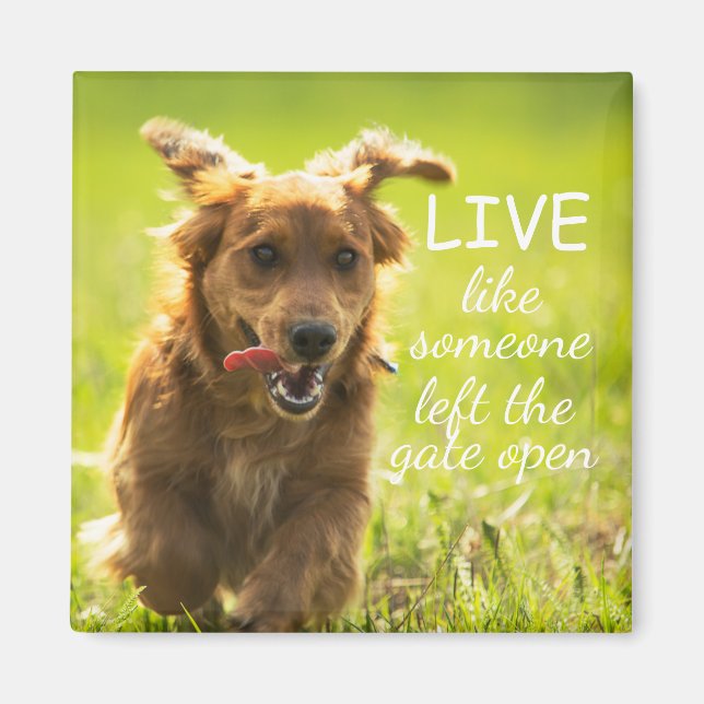 "Live Like Someone Left the Gate Open" Dachshund  Magnet (Front)