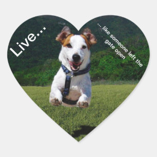 Live Like Someone Left the Gate Open Heart Sticker