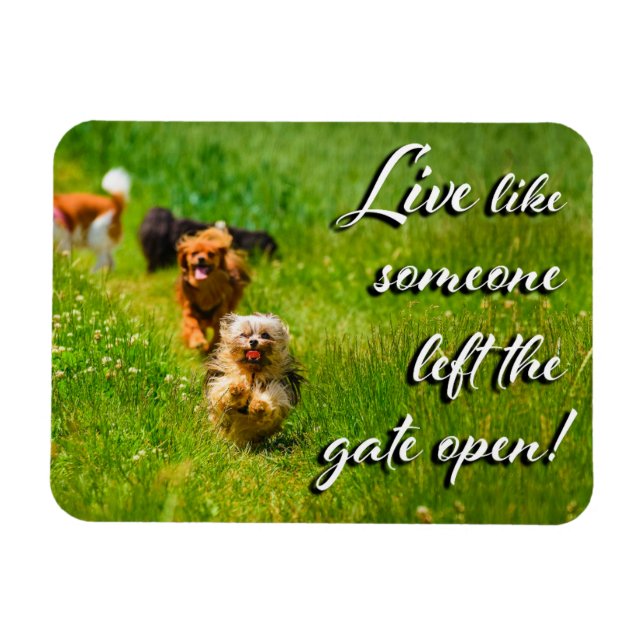 Live Like Someone Left the Gate Open!  Magnet (Horizontal)