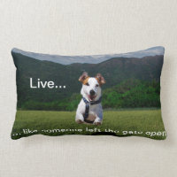 "Live Like Someone Left the Gate Open" Pillow
