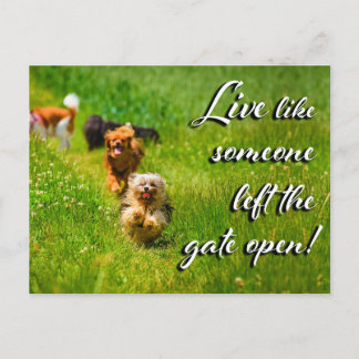 Live Like Someone Left the Gate Open! Postcard