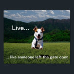 "Live Like Someone Left the Gate Open" Poster<br><div class="desc">An inspiring poster featuring a beautiful,  vibrant photo of a dog bounding through a field,  with an expression of pure joy and freedom,  and the phrase: "Live...  like someone left the gate open."</div>