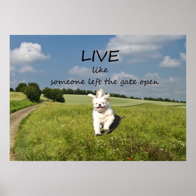 Live Like Someone Left the Gate Open Poster (Front)