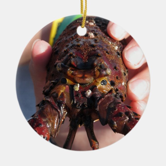 Live Lobster Ceramic Tree Decoration (Front)