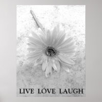 Live Love Laugh Black and White Gerber Daisy