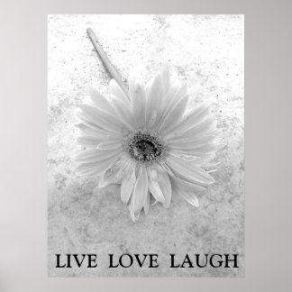 Live Love Laugh Black and White Gerber Daisy Poster
