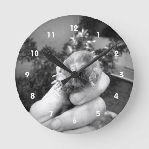 Live mole in hand smiling animal black white round clock