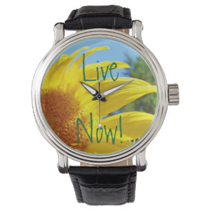 Live Now! watches Inspirational Yellow Sunflower