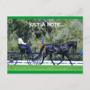 live oak cde postcard