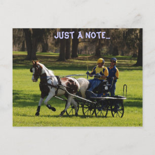 Live oak cde postcard